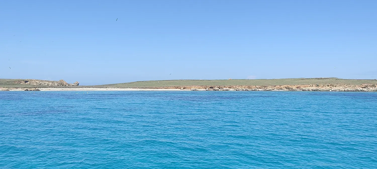 Isola di Mal di Ventre